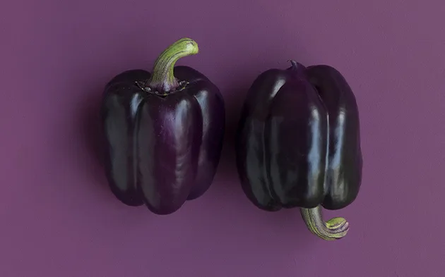 gallery-6